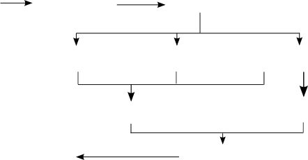 flèches du schéma