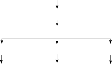 flèches du schéma