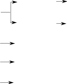 flèches du schéma