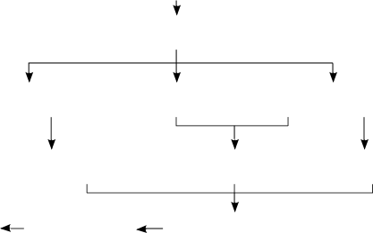 flèches du schéma